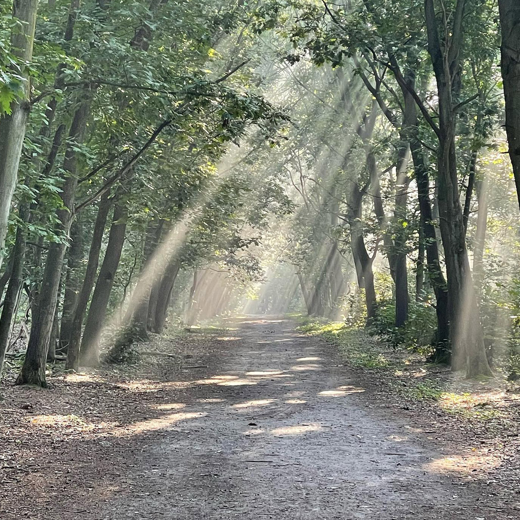 Agenda | Dagretraite-Geef-je liefdevolle herinnering mee aan de wind | natuurlijk-gezond noord limburg