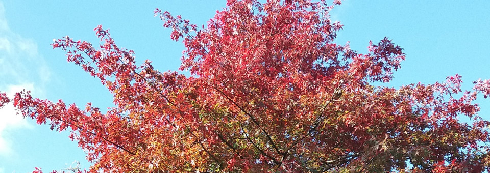 Herfsttijd